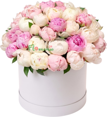 Шляпная коробка из розовых и белых пионов «Твоё сияние»